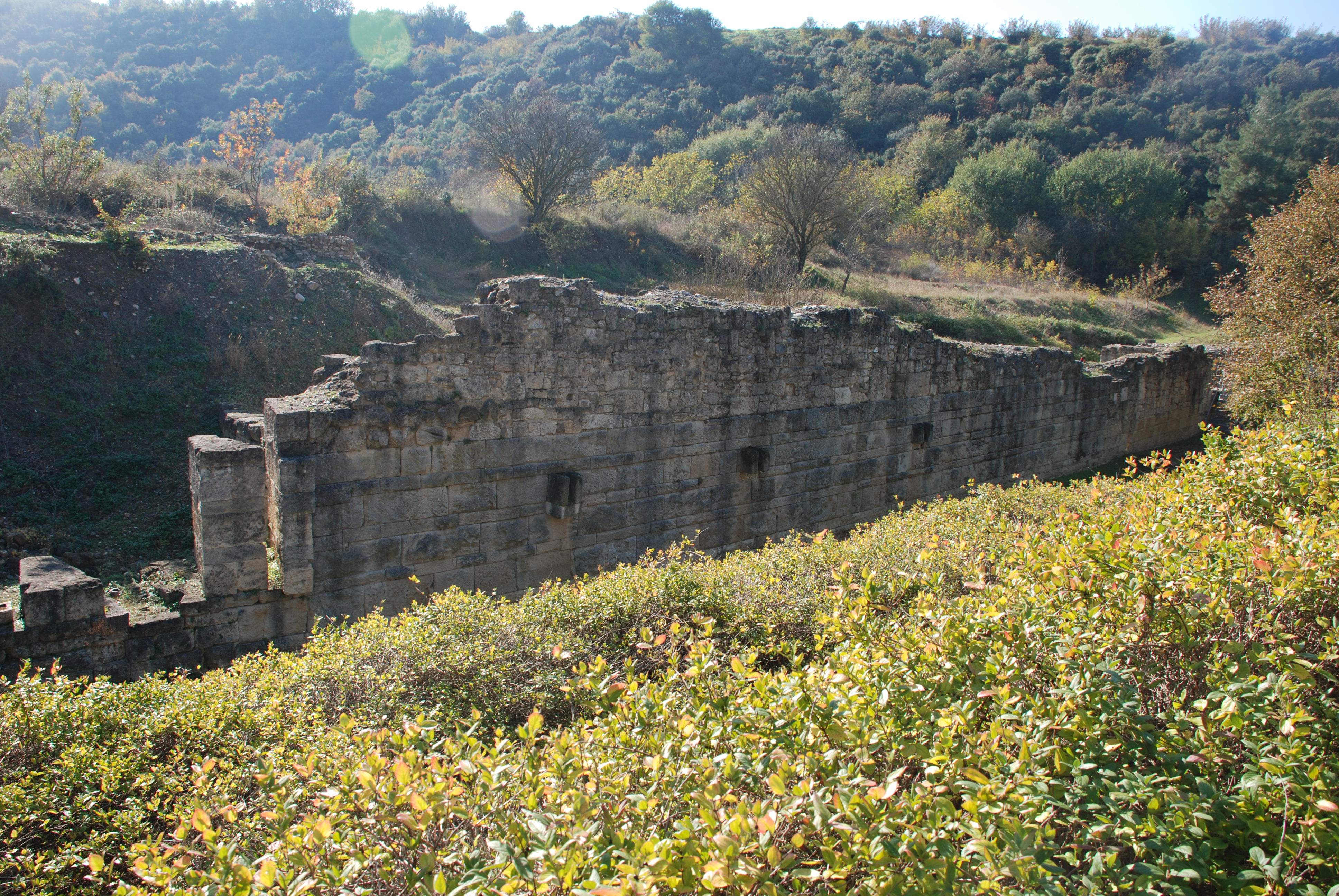 Λεπτομέρεια.