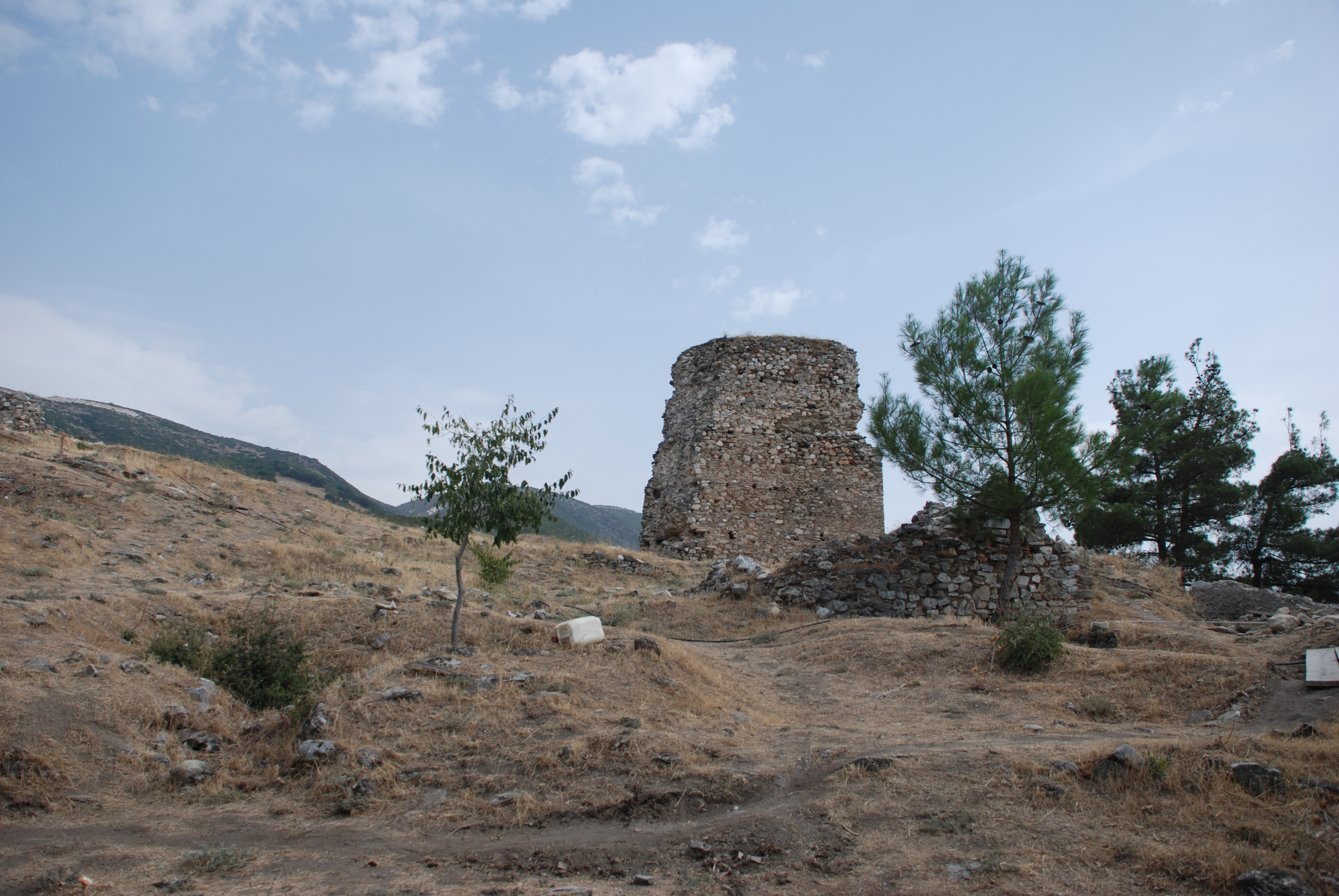 Λεπτομέρεια.
